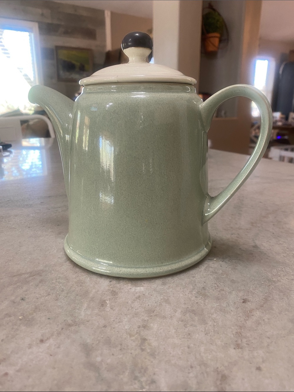 Denby Langley Energy 2 tone color teapot